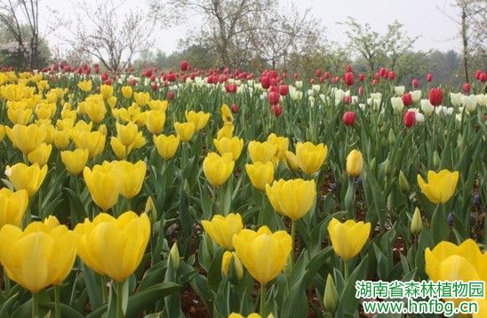 AG旗舰厅(中国游)官方网站