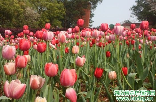 AG旗舰厅(中国游)官方网站
