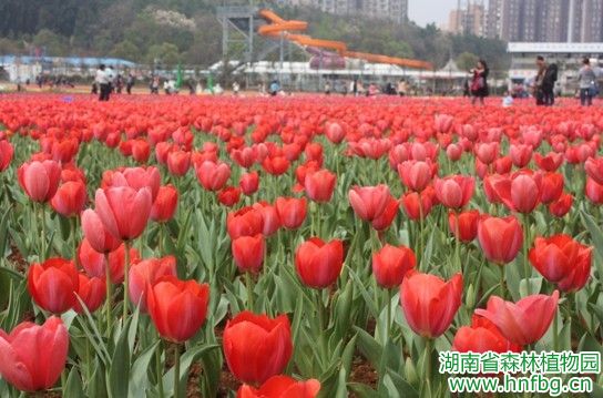 AG旗舰厅(中国游)官方网站