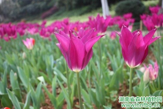 AG旗舰厅(中国游)官方网站