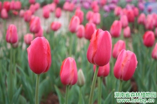 AG旗舰厅(中国游)官方网站
