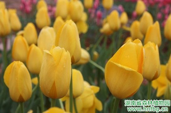 AG旗舰厅(中国游)官方网站
