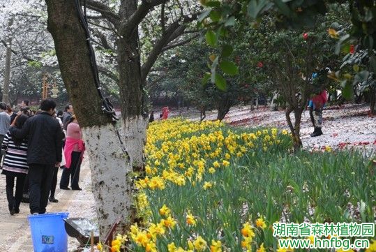 AG旗舰厅(中国游)官方网站