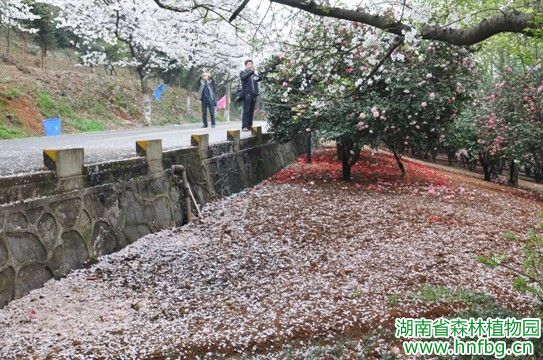 AG旗舰厅(中国游)官方网站