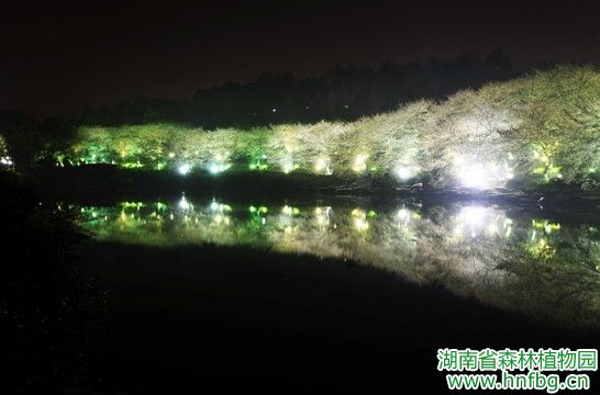 AG旗舰厅(中国游)官方网站
