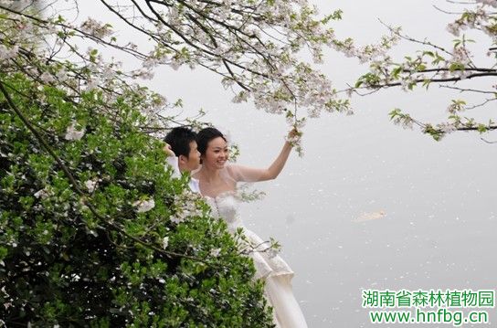 AG旗舰厅(中国游)官方网站