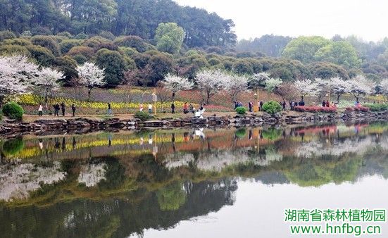 AG旗舰厅(中国游)官方网站