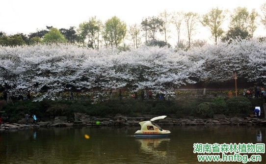AG旗舰厅(中国游)官方网站