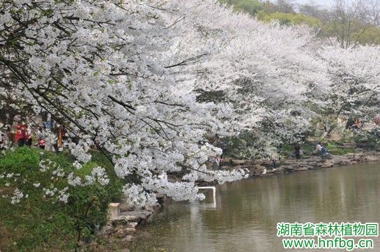 AG旗舰厅(中国游)官方网站