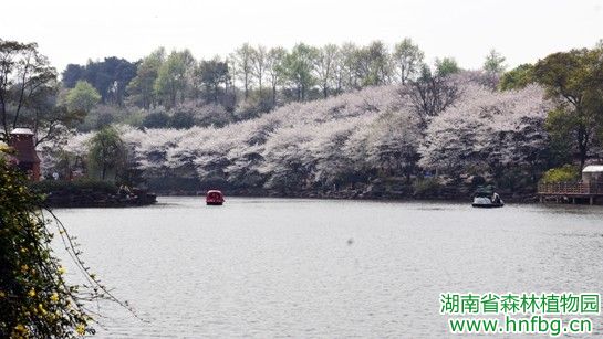 AG旗舰厅(中国游)官方网站