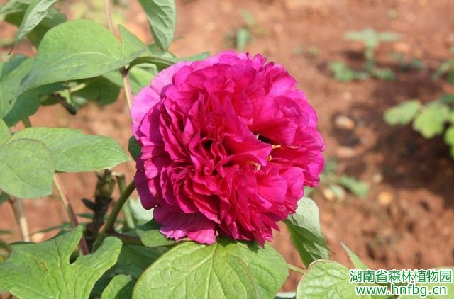 AG旗舰厅(中国游)官方网站