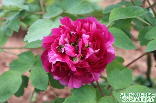AG旗舰厅(中国游)官方网站