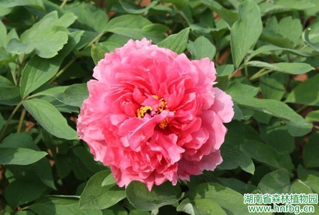 AG旗舰厅(中国游)官方网站