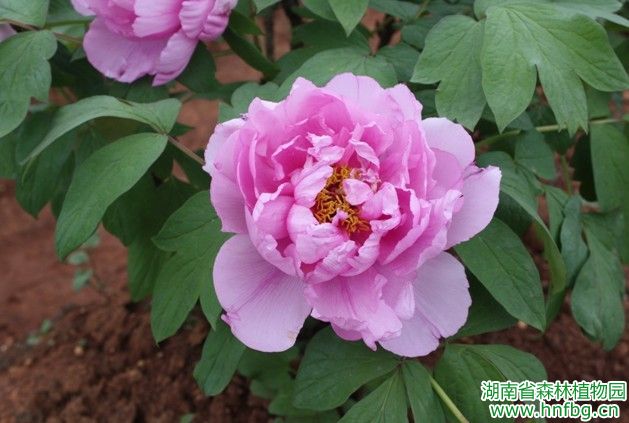 AG旗舰厅(中国游)官方网站