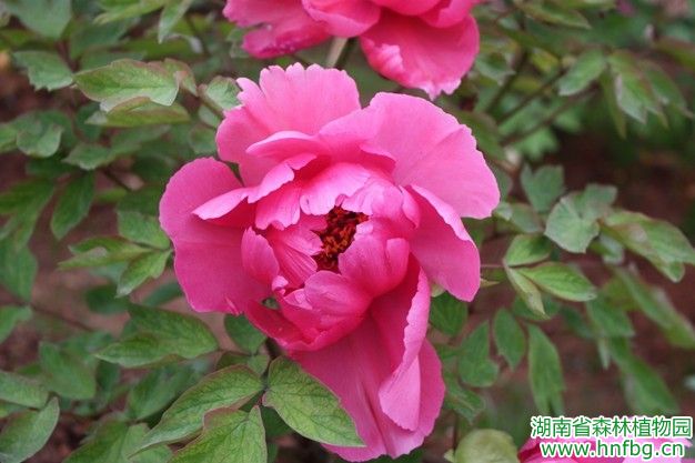 AG旗舰厅(中国游)官方网站