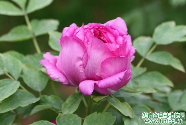 AG旗舰厅(中国游)官方网站
