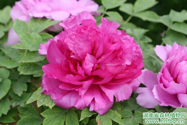 AG旗舰厅(中国游)官方网站