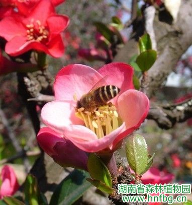 AG旗舰厅(中国游)官方网站