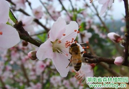AG旗舰厅(中国游)官方网站