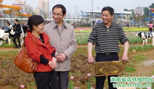 AG旗舰厅(中国游)官方网站
