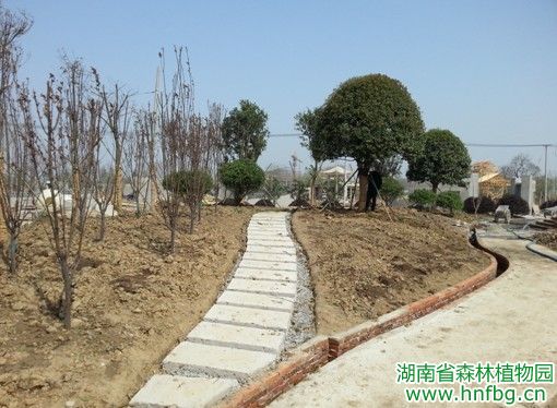 AG旗舰厅(中国游)官方网站