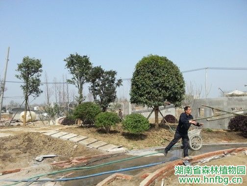AG旗舰厅(中国游)官方网站