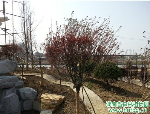 AG旗舰厅(中国游)官方网站