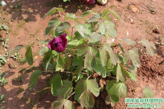 AG旗舰厅(中国游)官方网站