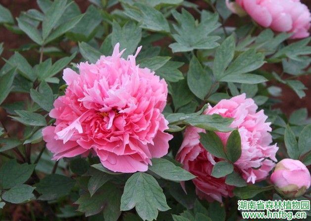 AG旗舰厅(中国游)官方网站
