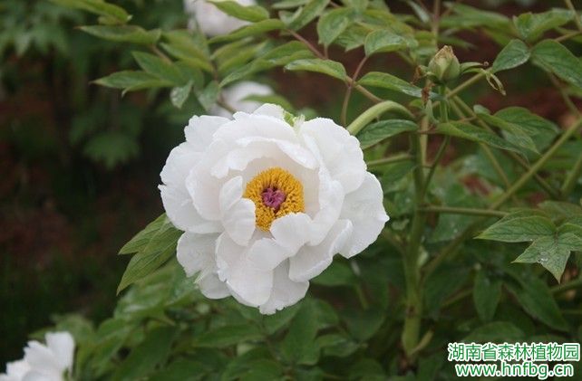 AG旗舰厅(中国游)官方网站