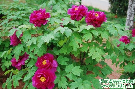 AG旗舰厅(中国游)官方网站