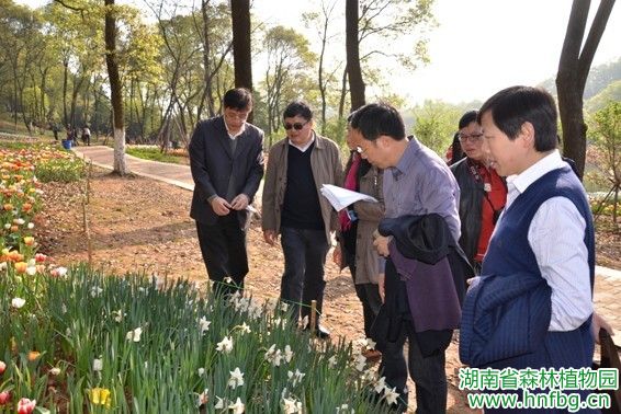 AG旗舰厅(中国游)官方网站