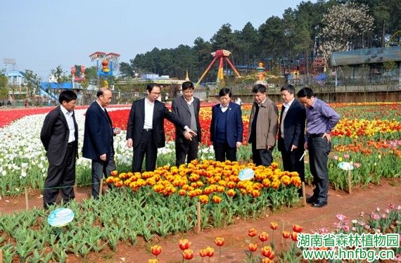 AG旗舰厅(中国游)官方网站