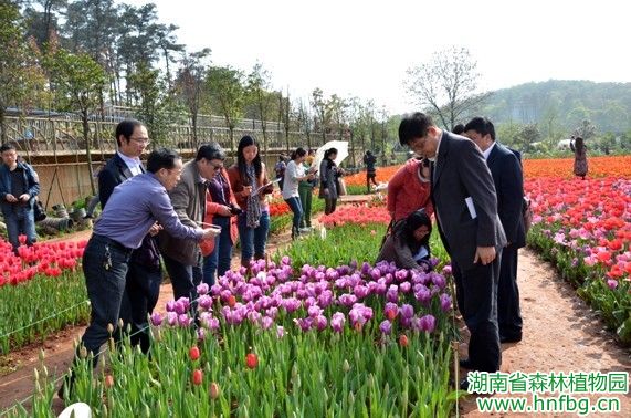 AG旗舰厅(中国游)官方网站