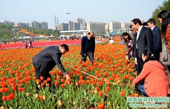AG旗舰厅(中国游)官方网站