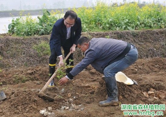 AG旗舰厅(中国游)官方网站