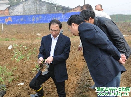AG旗舰厅(中国游)官方网站