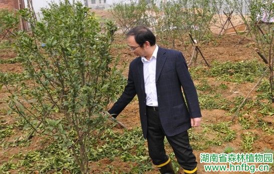 AG旗舰厅(中国游)官方网站
