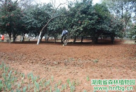 AG旗舰厅(中国游)官方网站