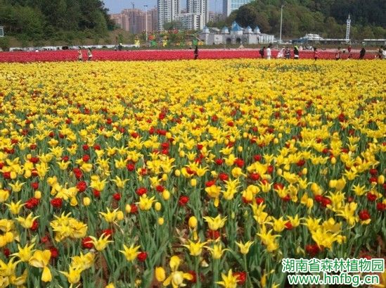 AG旗舰厅(中国游)官方网站