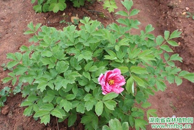 AG旗舰厅(中国游)官方网站