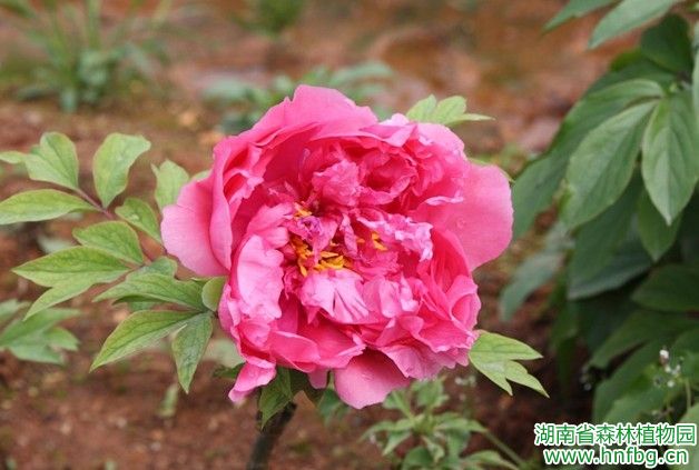 AG旗舰厅(中国游)官方网站