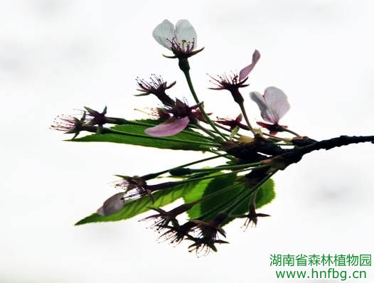AG旗舰厅(中国游)官方网站