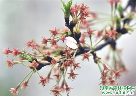 AG旗舰厅(中国游)官方网站