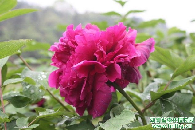 AG旗舰厅(中国游)官方网站