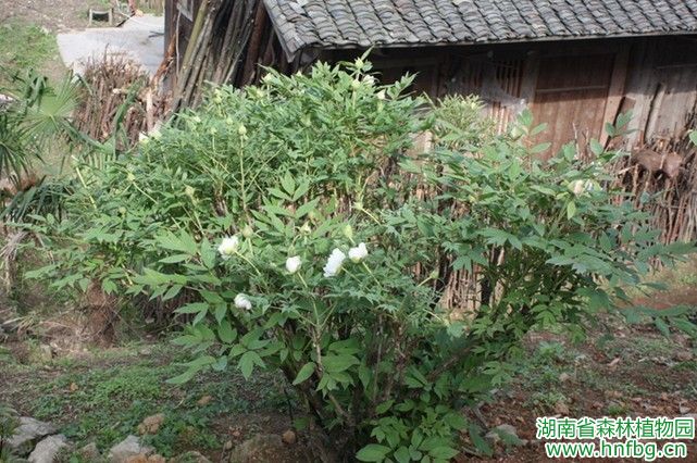 AG旗舰厅(中国游)官方网站