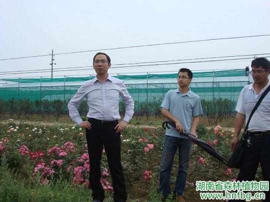 AG旗舰厅(中国游)官方网站