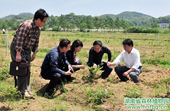 AG旗舰厅(中国游)官方网站