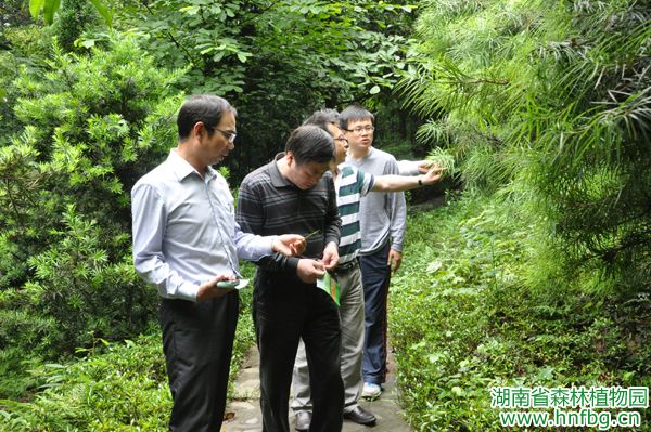 AG旗舰厅(中国游)官方网站