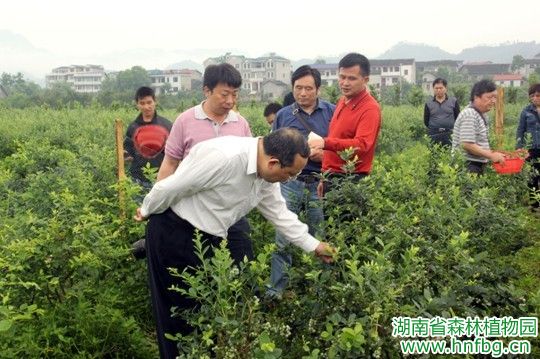 AG旗舰厅(中国游)官方网站